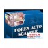 日均盈利超$307 Forex Auto Scalper剥头皮EA下载