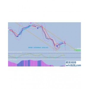 1H e 4H trader外汇交易系统下载