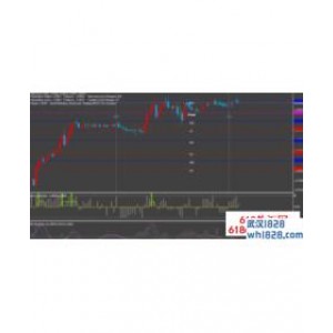 中枢神经外汇交易系统V2.2下载