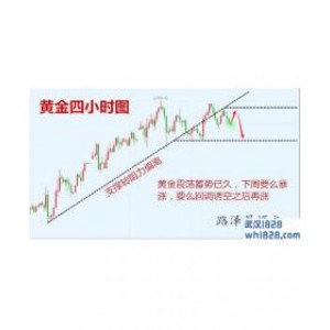 1.14黄金原油走势分析帮解套