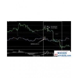 震荡指标,戈恩MACD,随机指标ZigZag联盟指标下载
