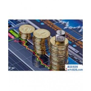 黄金供求分析(2)