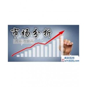 7.3黄金走势分析策略,黄金涨势在天空中飞扬在线战略布局