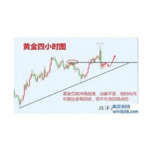 12.20黄金冲高回调,黄金原油走势分析帮解套