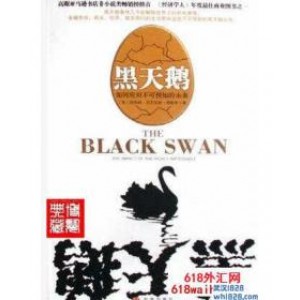 《黑天鹅:如何应对不可预知的未来》金融书籍下载