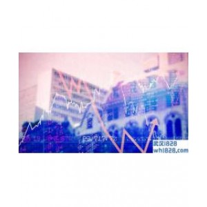 1.8.4外汇合约的主要特点