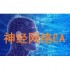 神经网络MT4外汇EA