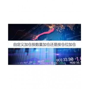 自定义加仓按数量or仓位加仓？