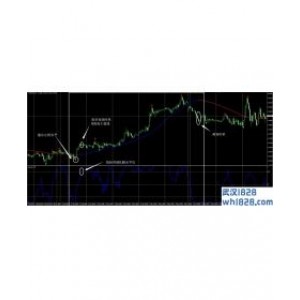 中微子外汇交易系统MT4下载