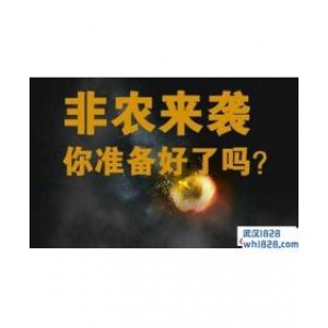11.2非农来袭黄金还会继续涨吗?黄金操作建议附解套小技巧!