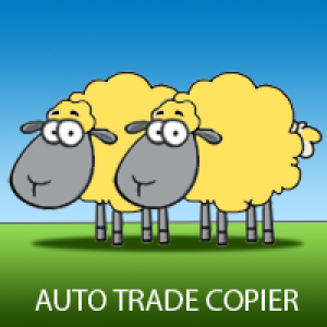 MT5-Auto Trade Copier for MT5