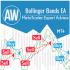 MT4-AW Bollinger Bands EA