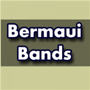 MT4-Bermaui Bands