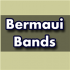 MT4-Bermaui Bands