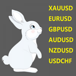 MT4-BiaoXXXUSD