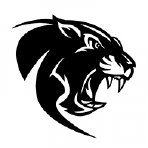 MT4-Black leopard