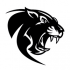 MT4-Black leopard
