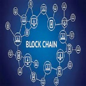 MT5-Blockchain