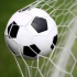 MT4-Bober Hober MT4-Bober Hober