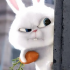 MT4-Bunny
