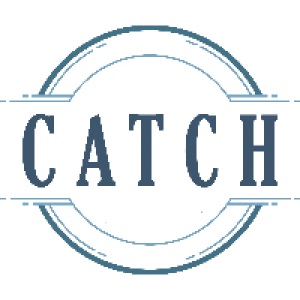 MT4-Catch