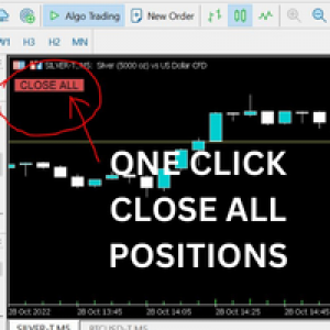 MT5-Close All Open Positions