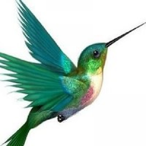 MT4-EA Colibri