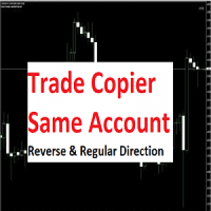 MT4-Copy Trade Same Account