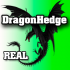 MT4-Dragon Hedge MT4 MT4-Dragon Hedge MT4