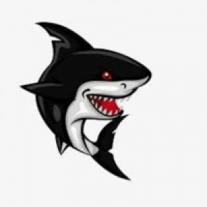 MT4-EA Black Shark