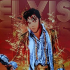 MT4-Elvis A