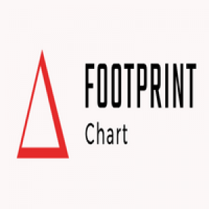 MT4-Footprint Chart