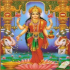 MT4-Golden Idol MT4-Golden Idol