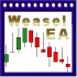 MT5-Golden Weasle Professional