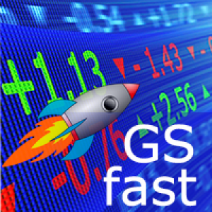 MT4-GS fast
