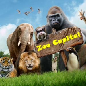 MT4-Hama and Hull EA for Mt4 by ZooCapital