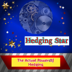 MT5-Hedging Star