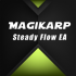 MT4-High Frequency EurUsd Rsi and Macd Trader