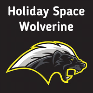 MT4-Holiday Space Wolverine