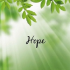 MT4-Hope EA MT4-Hope EA