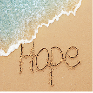 MT4-Hope MT4