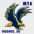MT4-Hughes EA