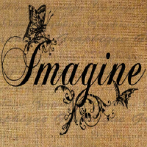 MT4-Imagine Investor Series