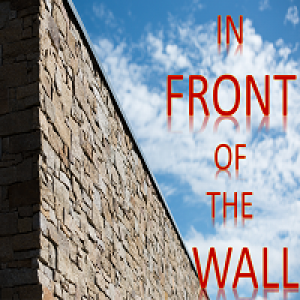 MT4-In front of the Wall MT4