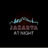 MT4-Jakarta At Night