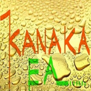 MT4-Kanaka Expert MT4