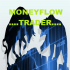 MT4-Moneyflow trader