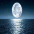 MT4-Moonlight pro