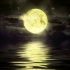 MT4-Quiet Moon