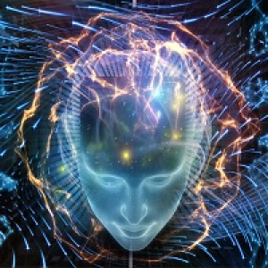 MT4-Network AI